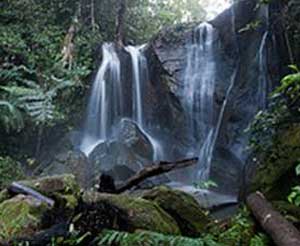 Vission Falls, near Yungaburra